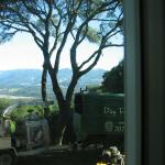 Tree pruning for view clearing